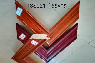 TSS021（55×35）